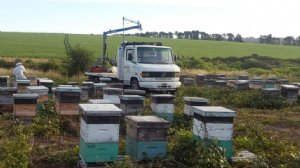 Foto de La Colmena de Cristal