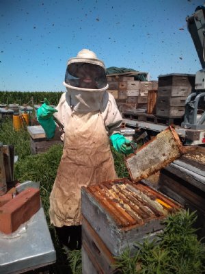 Foto de La Colmena de Cristal